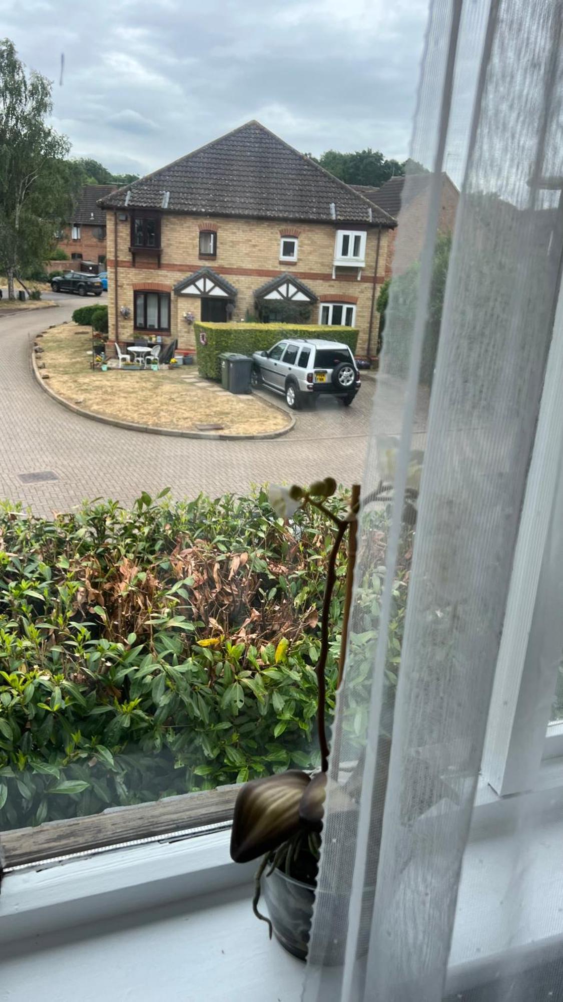 Beautiful Apartment In Guildford With Parking Send Dış mekan fotoğraf